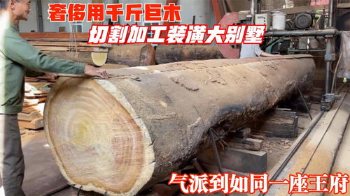 特色食品产业园，装之前先看这几处
